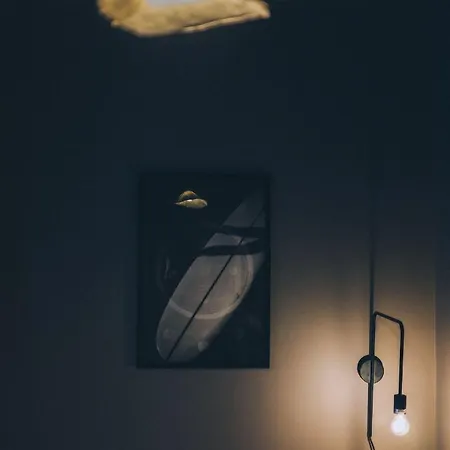 Superbe Spacieux Et Elegant Au Coeur De Avec Patio アパート ビアリッツ